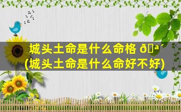 城头土命是什么命格 🪴 (城头土命是什么命好不好)